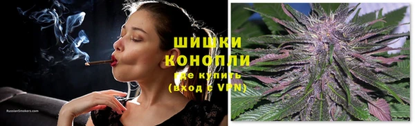 ECSTASY Богородицк