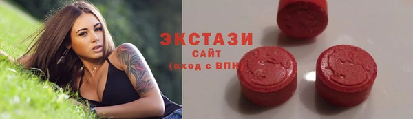 ECSTASY Богородицк