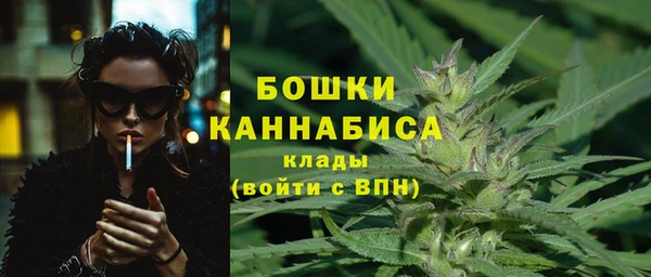 спиды Богданович