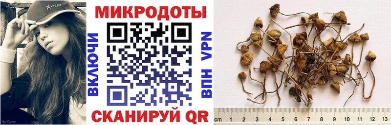 Псилоцибиновые грибы Cubensis  закладки  Невель 